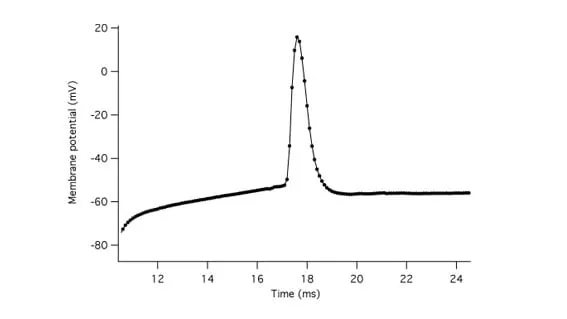 A patch pipette positioned against a cell in an electrophysiology rig.