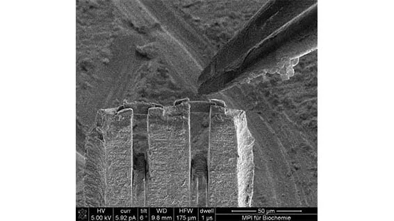 SEM image of a cooled lift-out tip approaching a milled lamella trench, 50 µm field of view, imaged at 5.00 kV.