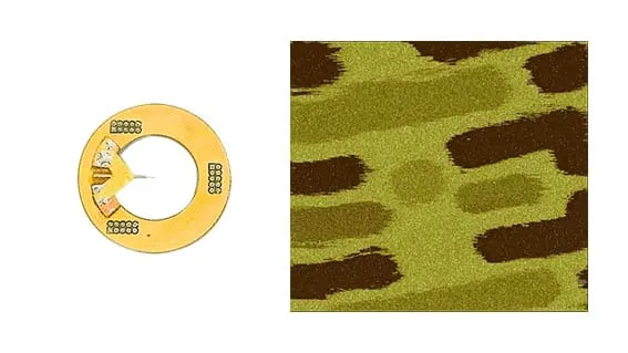 The microgripper plug-in mounted off-centre on the flex-circuit disc, beside a mottled AFM scan of a textured sample surface.