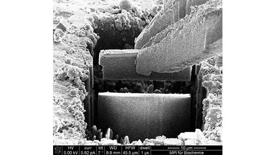 SEM image of the gripper lifting a milled lamella clear of its trench, 10 µm field of view.